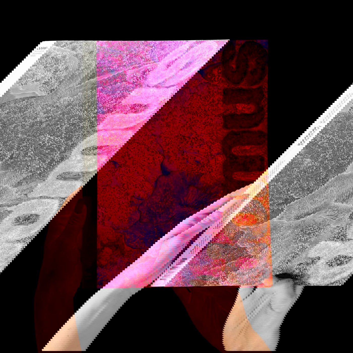 THE FINAL ISSUE OF DOMUS GUEST EDITED BY BJARKE INGELS IS OUT | Bjarke Ingels Group