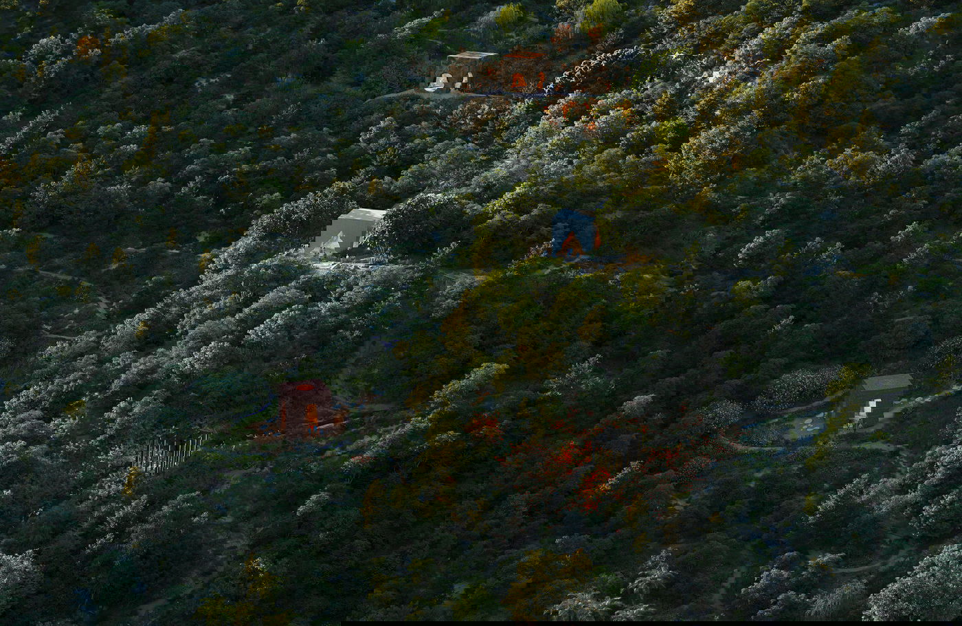 BIG MAPS THE TREE OF FAITH ONTO THE SLOPES OF TIRANA, ALBANIA | Bjarke Ingels Group