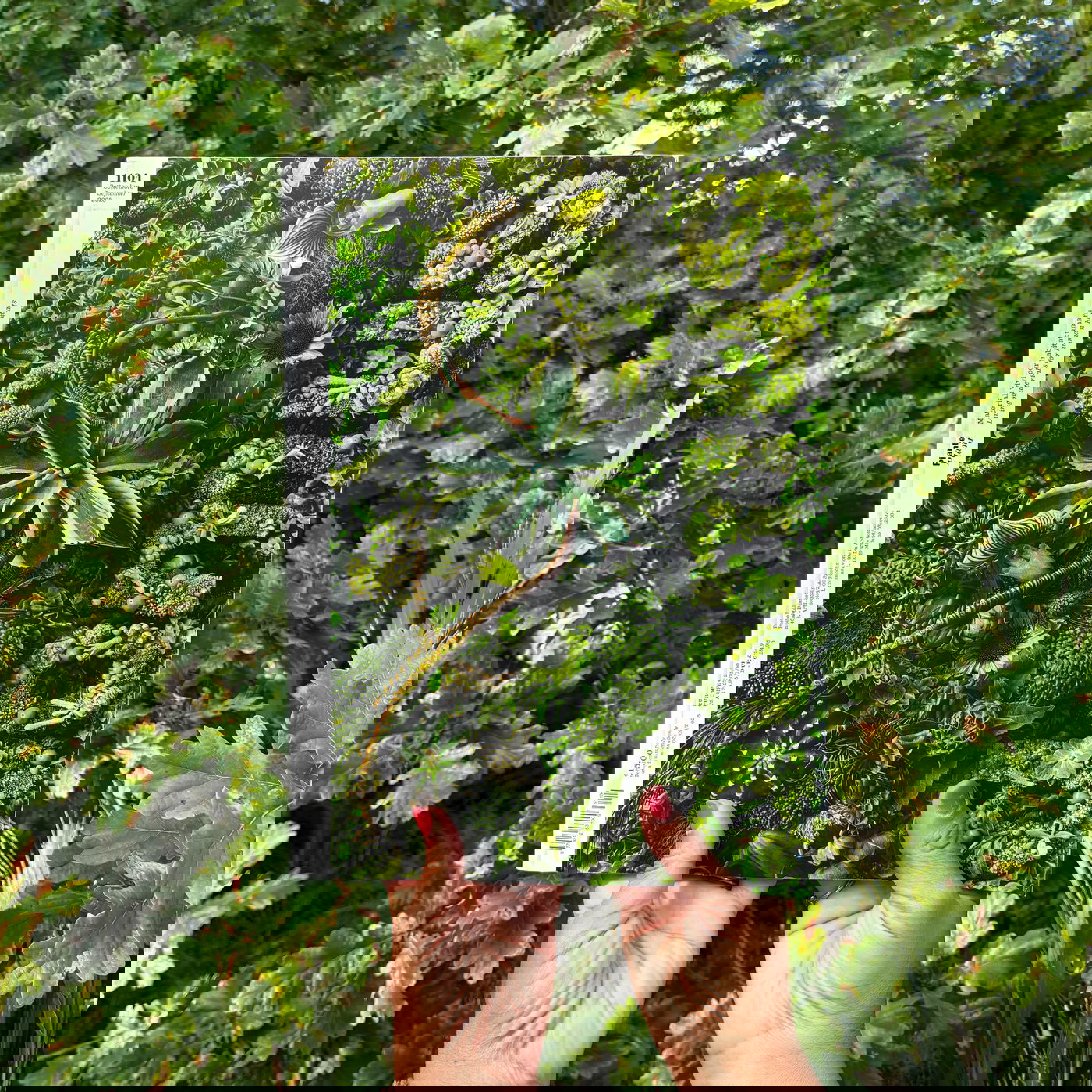 DOMUS PUBLISHES EIGHTH ISSUE UNDER BJARKE INGELS’ GUEST EDITORSHIP | Bjarke Ingels Group