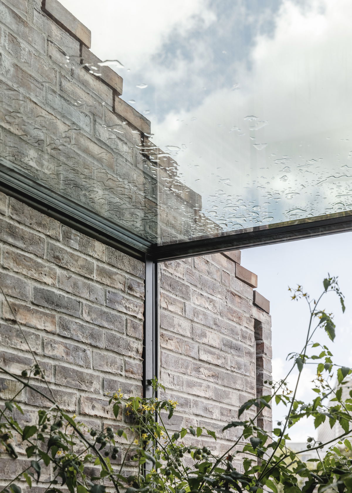 Noma 2.0 gallery image | Bjarke Ingels Group