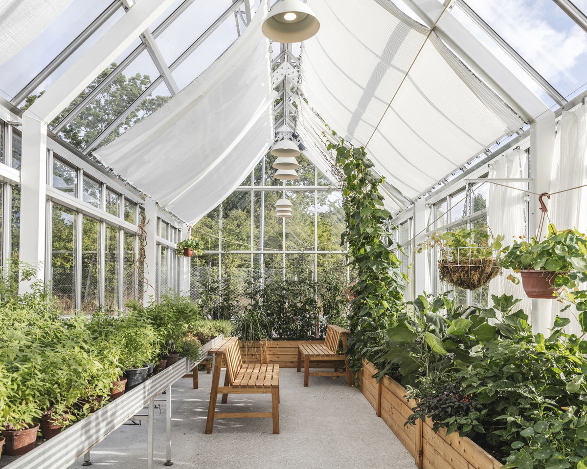 Noma 2.0 image | Bjarke Ingels Group