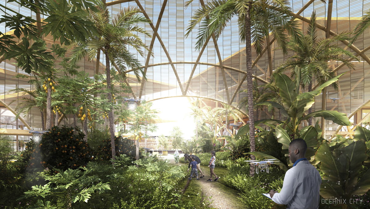 Oceanix City image | Bjarke Ingels Group