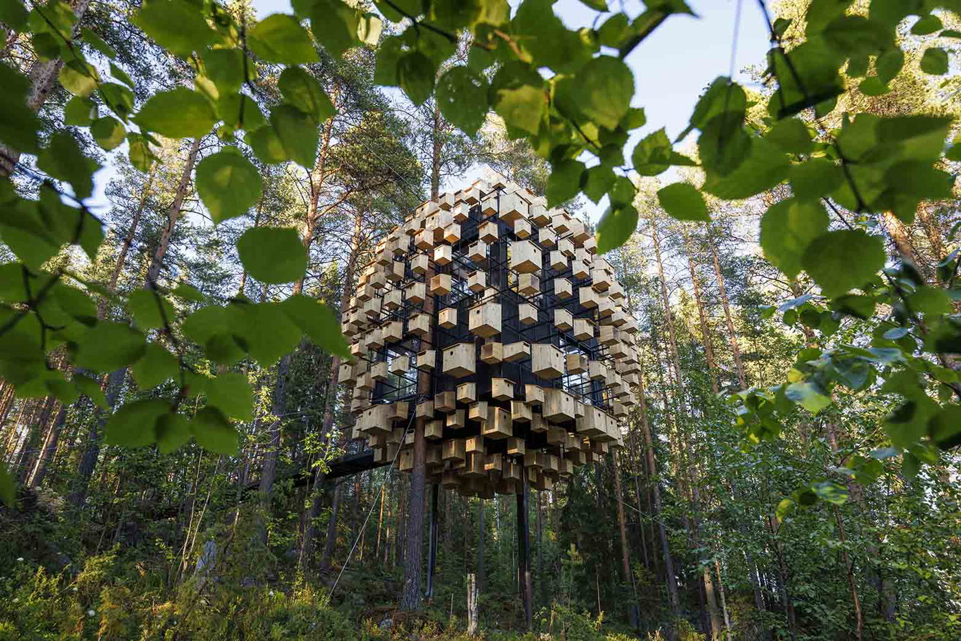 BIRDS AND HUMANS TO COHABITATE AT BIG’s TREEHOTEL ROOM IN SWEDEN | Bjarke Ingels Group
