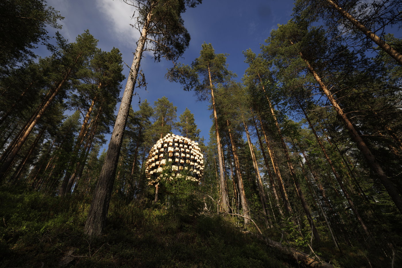 BIOSPHERE ON ARCHITECTURAL DIGEST’S 2023 WORKS OF WONDER LIST | Bjarke Ingels Group