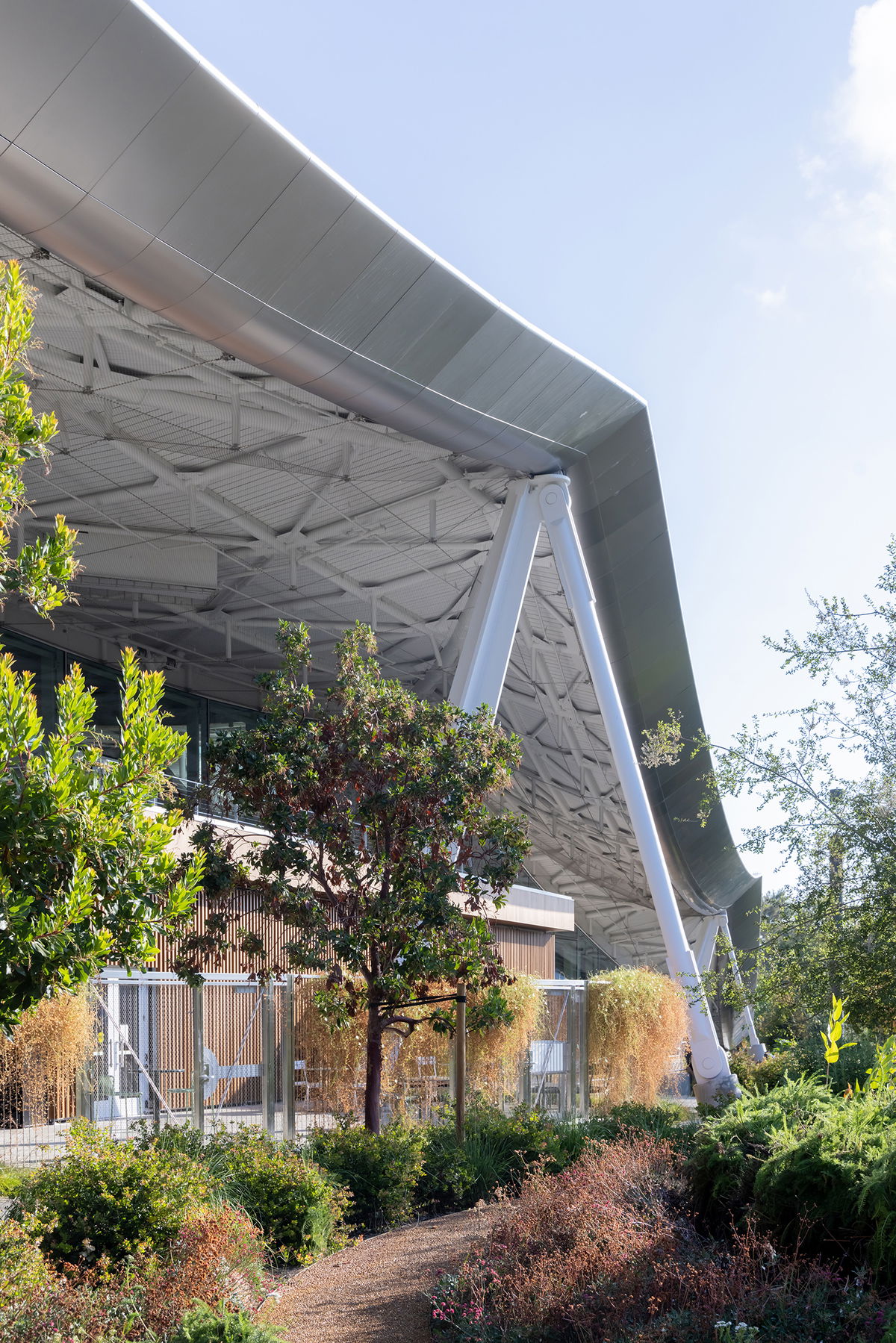 Google Gradient Canopy image | Bjarke Ingels Group