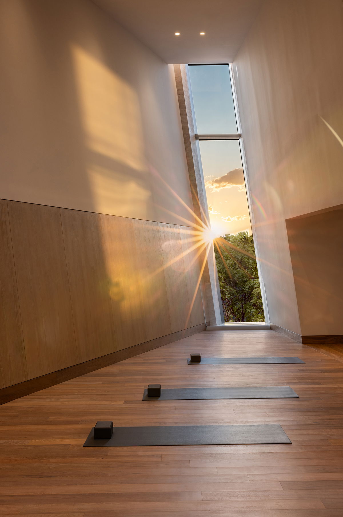 One High Line image | Bjarke Ingels Group