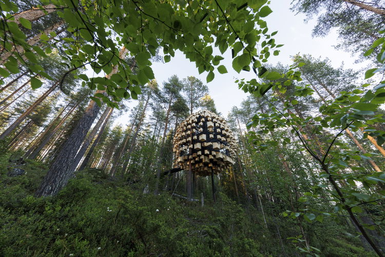 BIOSPHERE RECOGNIZED AMONG THE WORLD’S MOST SPECTACULAR TREE HOUSES | Bjarke Ingels Group